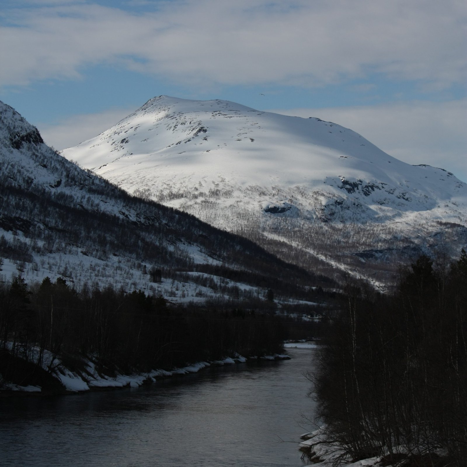Bardu | Ártico | Periodismo | Montañas | Nieve | Noruega