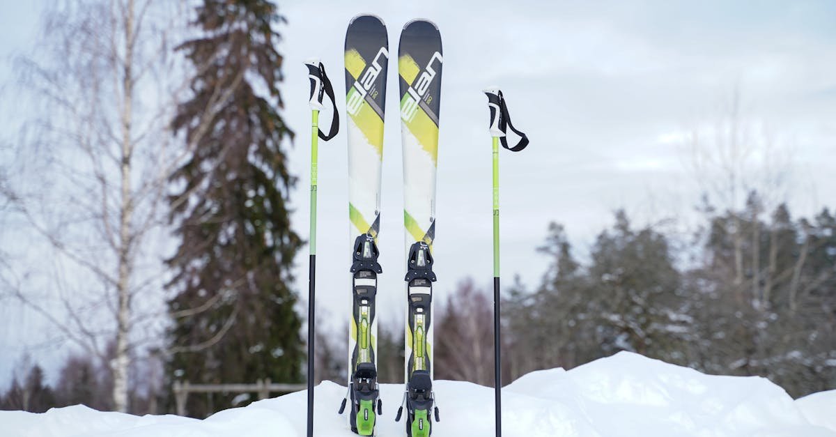 Deportes de invierno | Deportes | Noruega | Cultura | Sociedad