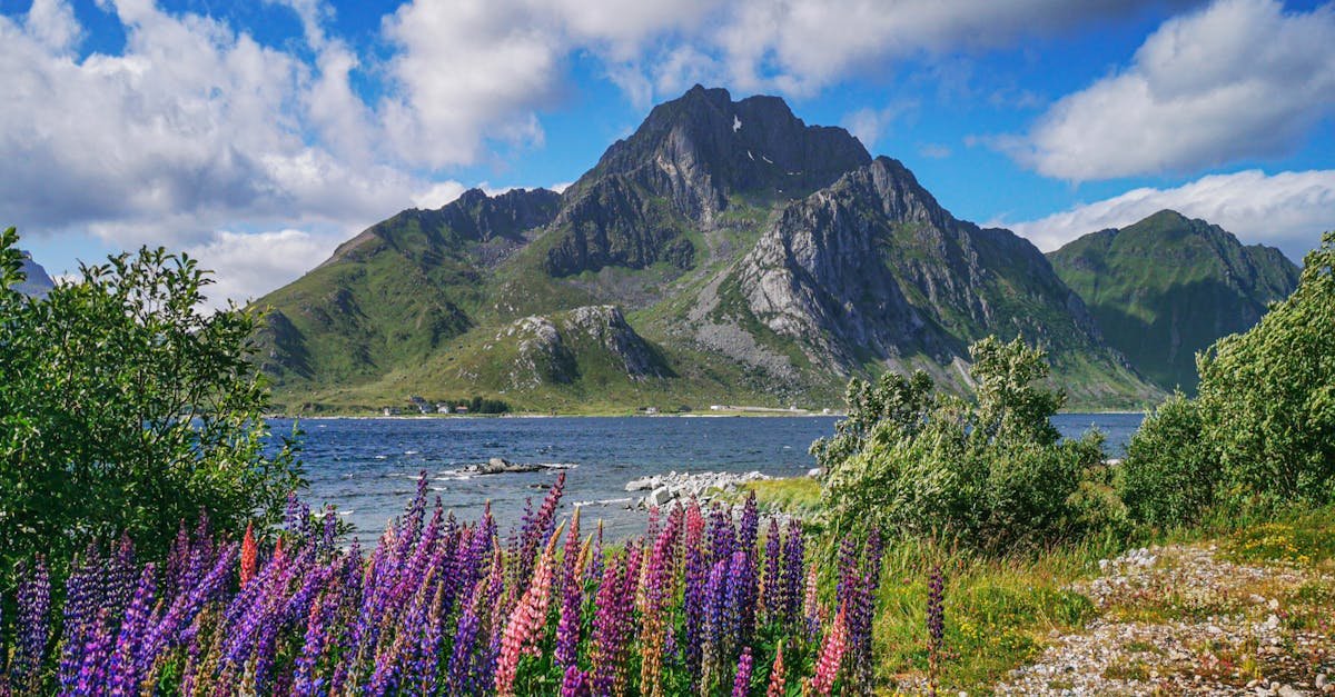 Noruega | Aire libre | Naturaleza | Sociedad | Cultura