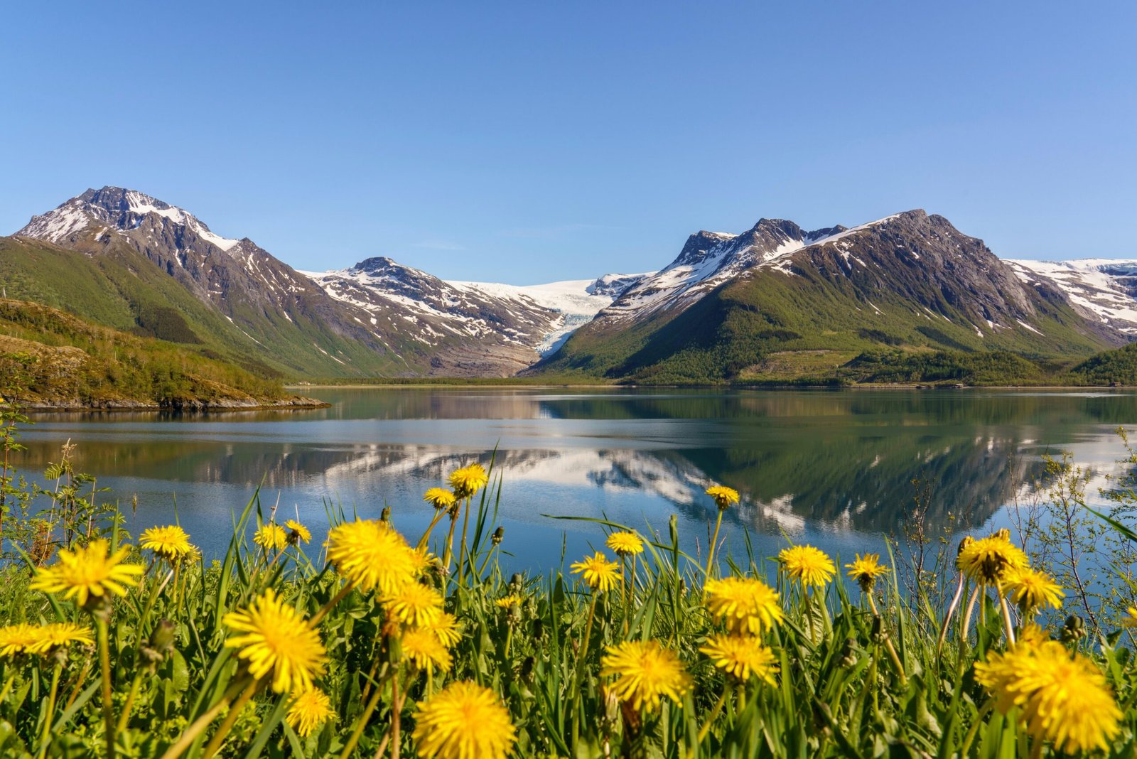 Primavera en Noruega | Naturaleza | Noruega