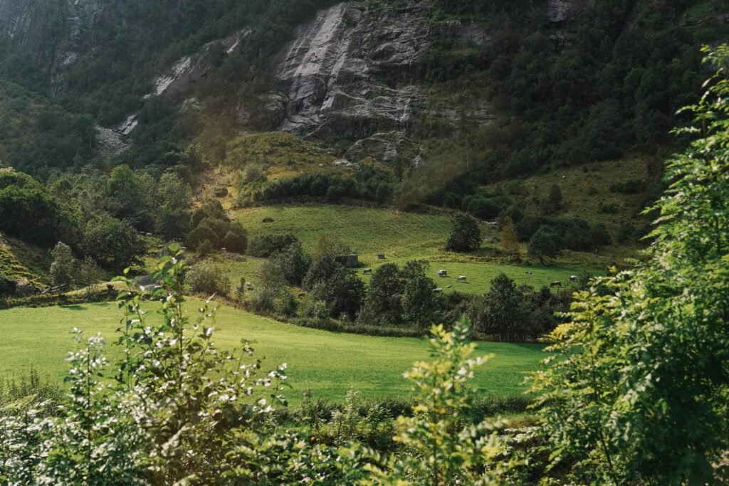 Allemannsretten | Sociedad | Leyes noruegas | Noruega | Naturaleza