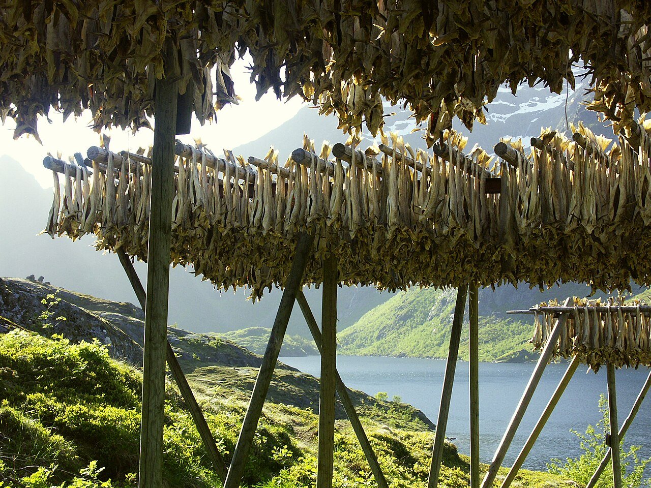Stockfish | Skrei | Bacalao | Islas Lofoten | Å Lofoten | Noruega