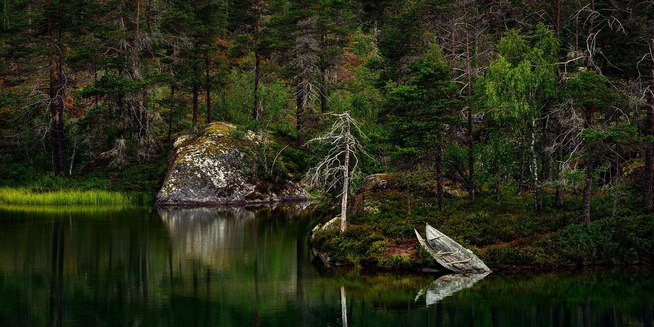Silvicultura | Naturaleza | Noruega | Medioambiente