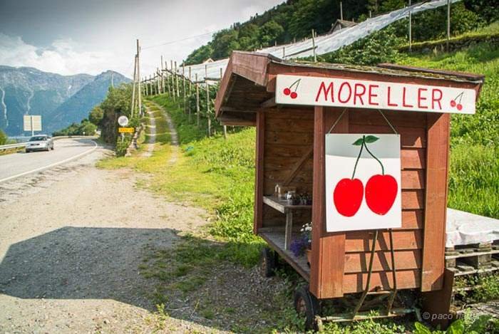 Confianza | Noruega | Sociedad